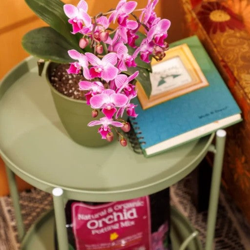 Black Gold Natural & Organic Orchid Potting Mix 8-Quart