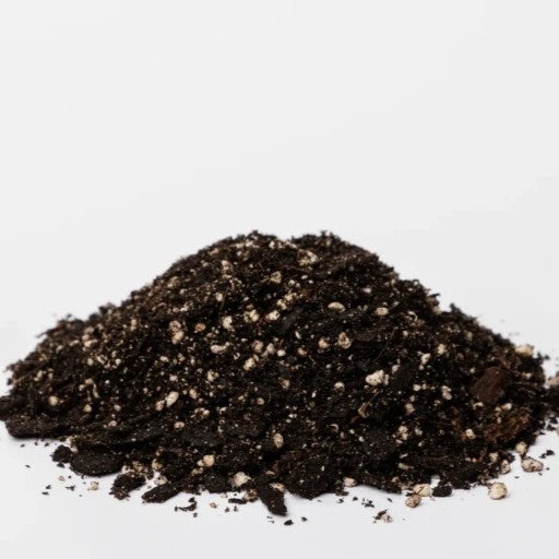 Black Gold Natural & Organic Orchid Potting Mix 8-Quart