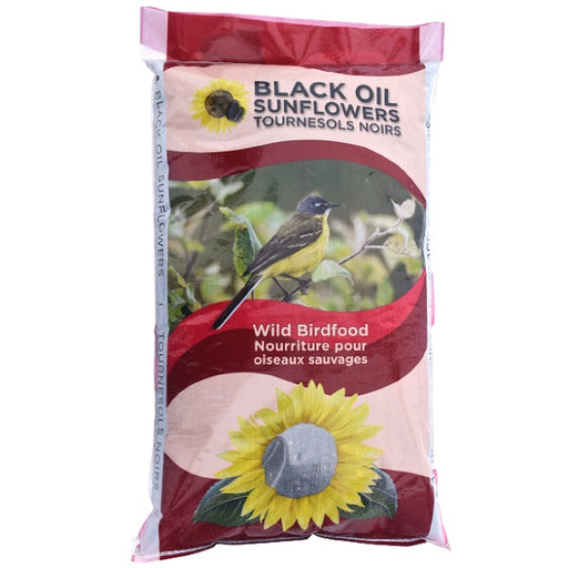 black oil sunflower seeds for planting for sale Shafer Black Oil Sunflower Seed