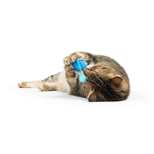 Bluebird Chirpy Cat Toy