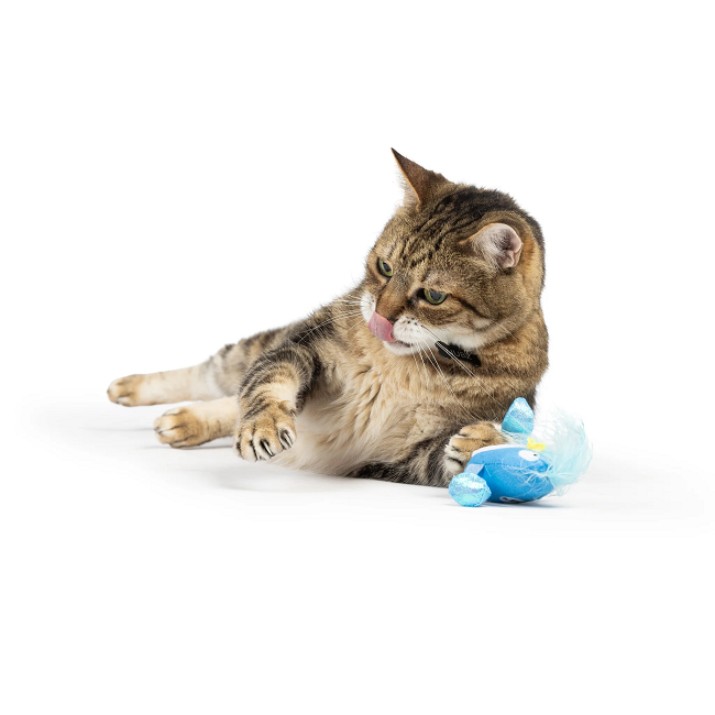Bluebird Chirpy Cat Toy