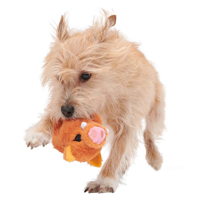 Bark Beau The Boar Wild P Plush Dog Toy