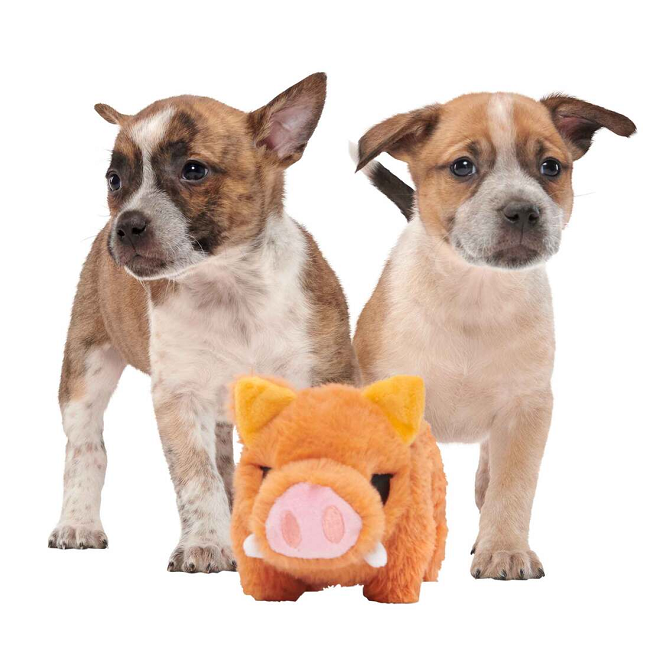 Bark Beau The Boar Wild P Plush Dog Toy