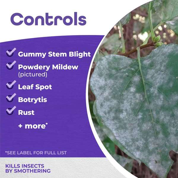 All Seasons Spray Oil, Concentrate