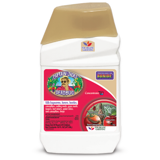 Bonide Captain Jack's Deadbug Brew® Concentrate, 16 oz
