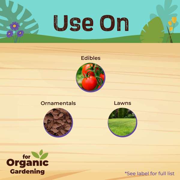 Bonide Captain Jack's Deadbug Brew® 32 oz Ready-To-Use Spray