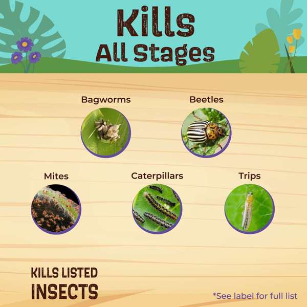 Bonide Captain Jack's Deadbug Brew® 32 oz Ready-To-Use Spray