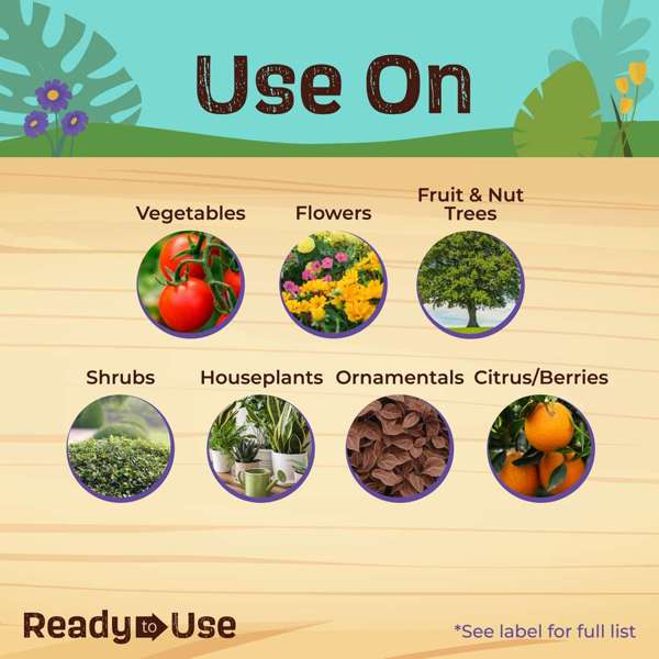 Bonide Insecticidal Soap Houseplant Spray Ready-To-Use 12 oz