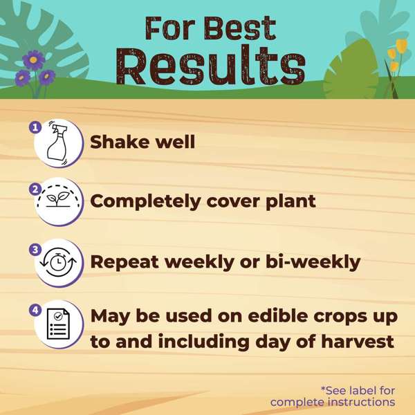 Bonide Insecticidal Soap Houseplant Spray Ready-To-Use 12 oz