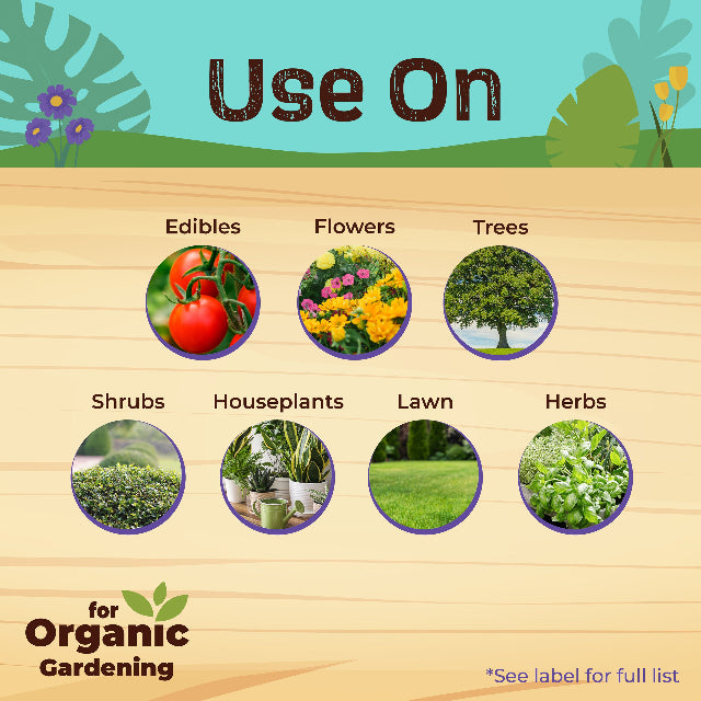 Captain Jack's Neem Max 4-in-1 Concentrate, 16 oz.