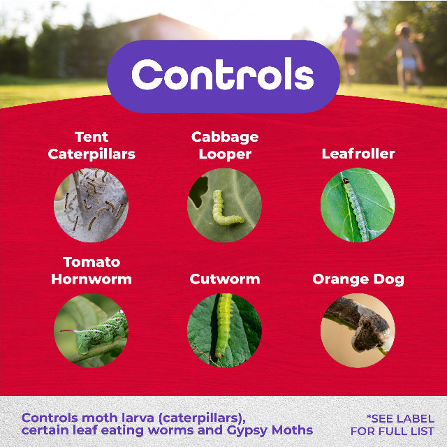 Bonide Thuricide (BT) 16 oz. Concentrate