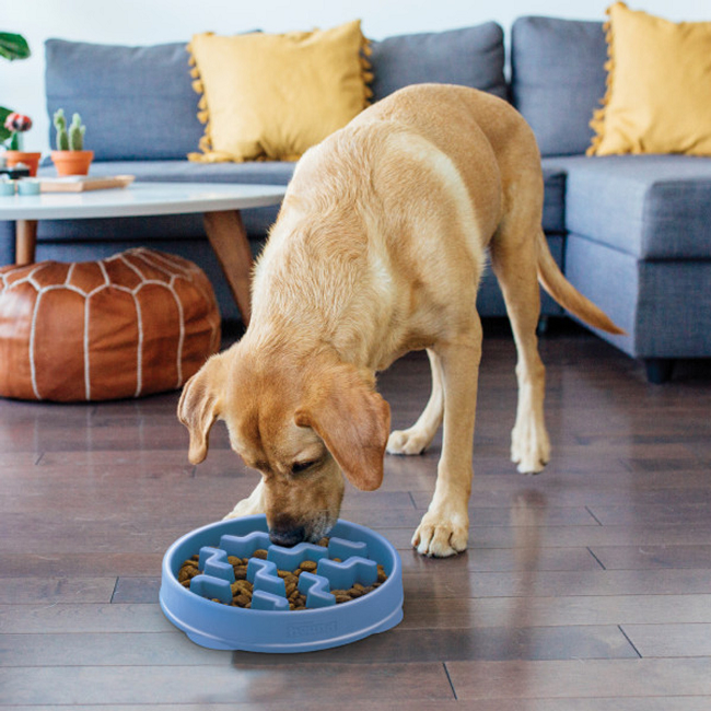 Outward Hound Fun Feeder Slo Bowl Slow Feeder Dog Bowl, Blue