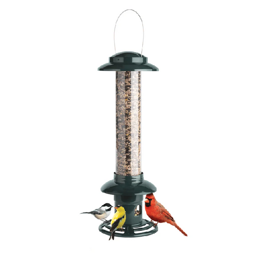 Squirrel Buster Evolution Wild Bird Feeder