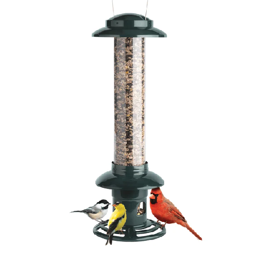 Squirrel Buster Evolution Wild Bird Feeder