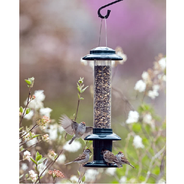 Squirrel Buster Evolution Wild Bird Feeder