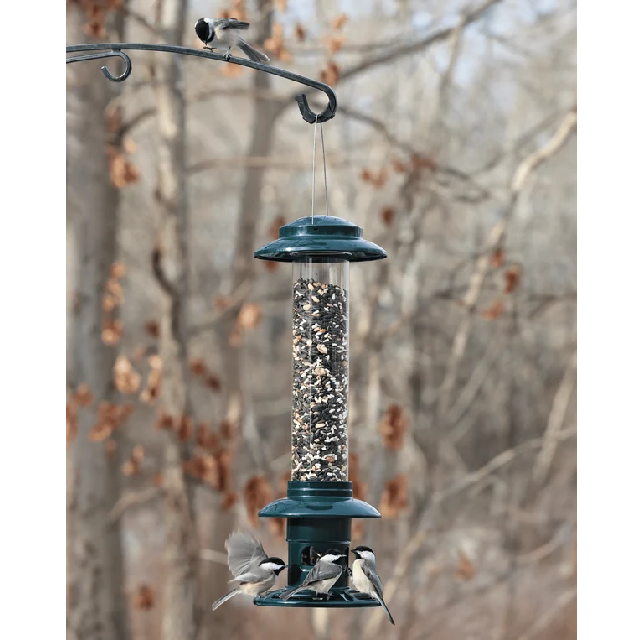 Squirrel Buster Evolution Wild Bird Feeder