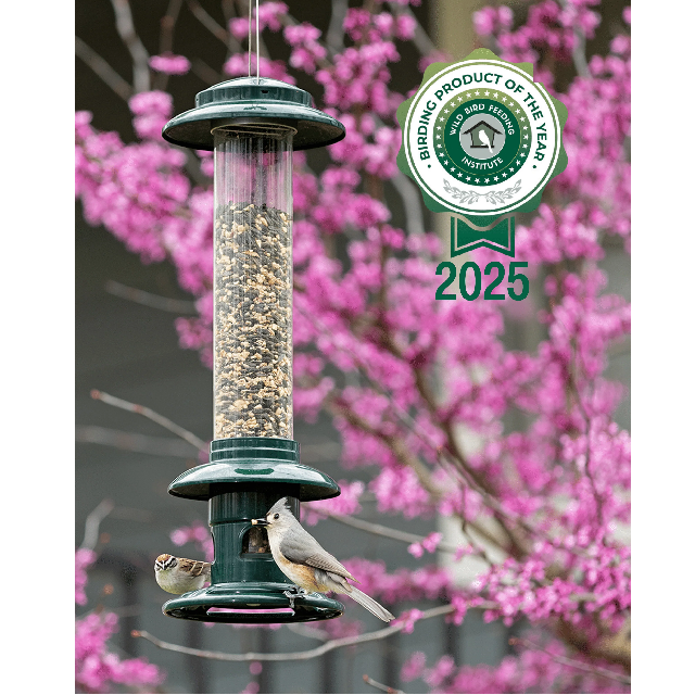 Squirrel Buster Evolution Wild Bird Feeder