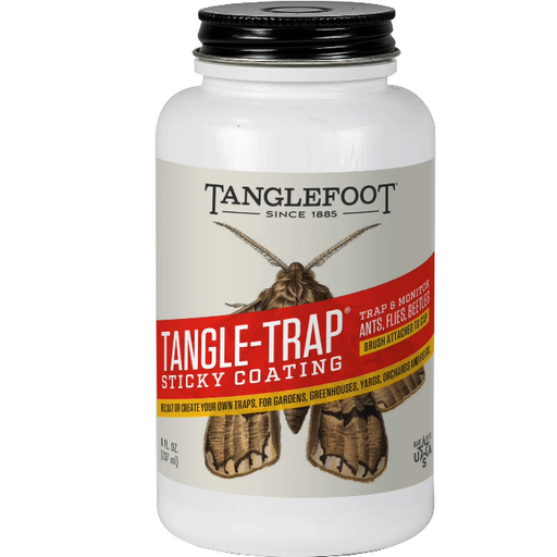 Tanglefoot® Tangle-Trap Sticky Coating 8oz Brush Top
