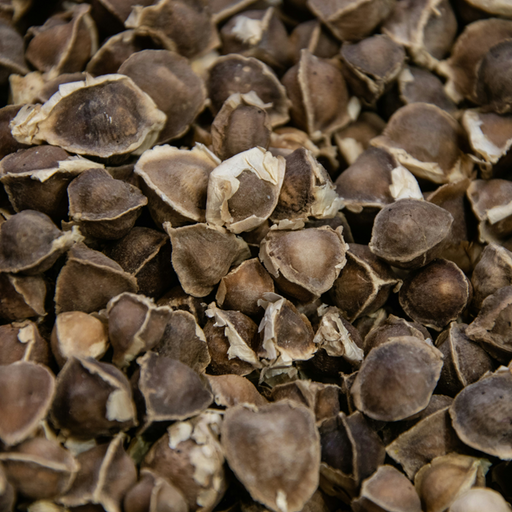 Buckwheat Seed