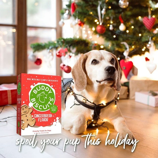 Buddy Biscuits Holiday Gingerbread Crunchy Dog Treats 16 oz.