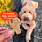Buddy Biscuits Crunchy Dog Treats, Peanut Butter 16OZ