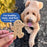 Buddy Biscuits Crunchy Dog Treats, Bacon & Cheese 16OZ
