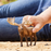 Moose Bull- Schleich Figurine