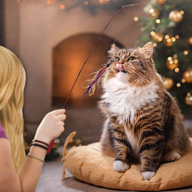 Wiggly Wand Cat Teaser Toy