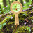 Eye Spy Eco-Bamboo 5x Magnifying Glass