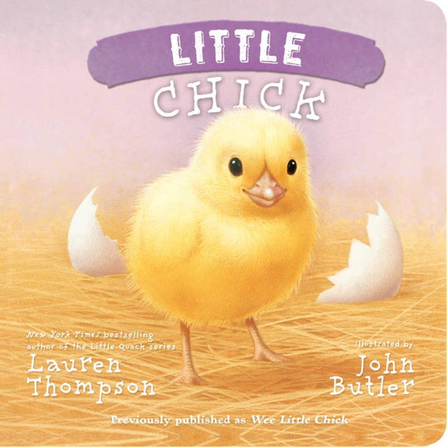 Little Chick Wee Little Board Book