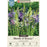 Camassia 'Mixture' Camas Lily Bulbs - Pack of 6