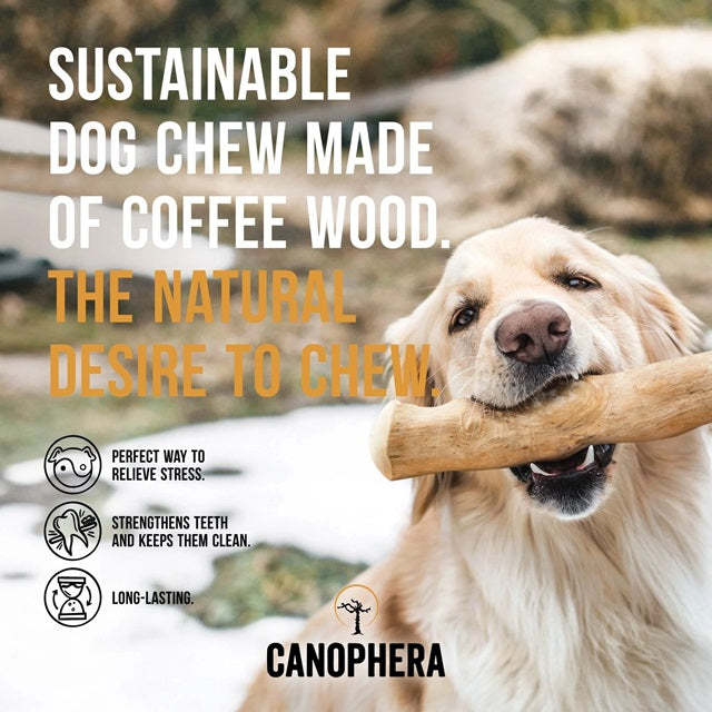 Canophera Coffee Wood Chew Stick, Assorted Sizes
