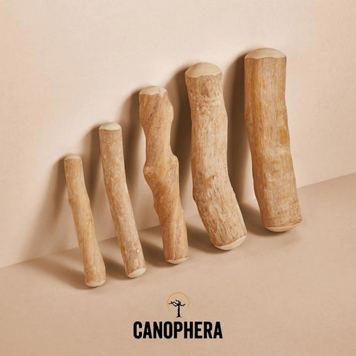 Canophera Coffee Wood Chew Stick, Assorted Sizes
