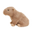 Capybara Warmies