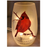 Stony Creek Cardinal Angel Pre-Lit Small Jar, Assorted