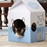Turbo by Coastal Milk Carton Cat Scratcher