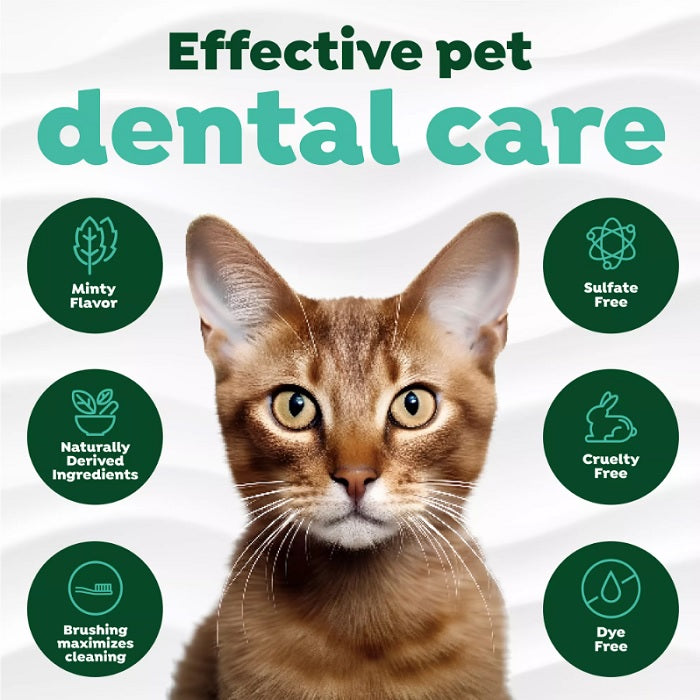 Tropiclean Fresh Breath Oral Care Kit for Cats