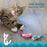 Catstages Dental Shrimpies Cat Chew Toy 2-Pack