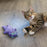 Catstages Purr Pillow Calming Plush Cat Toy