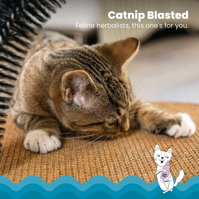 Catstages Scratch & Groom Cat Scratch Pad