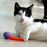 Wiggly Pong Plastic Pong Ball Cat Toy, Assorted Colors