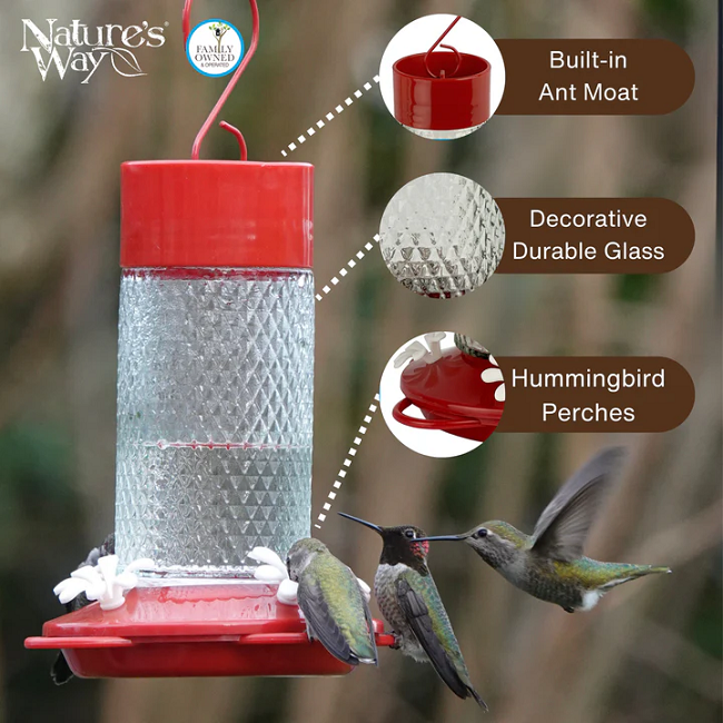 Nature's Way Charming Cherry Glass Gravity Hummingbird Feeder