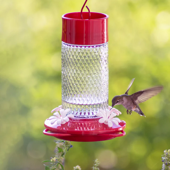 Nature's Way Charming Cherry Glass Gravity Hummingbird Feeder