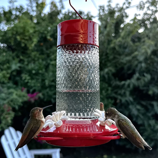 Nature's Way Charming Cherry Glass Gravity Hummingbird Feeder