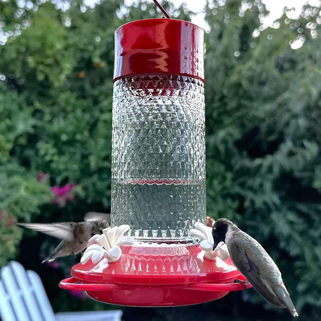 Nature's Way Charming Cherry Glass Gravity Hummingbird Feeder