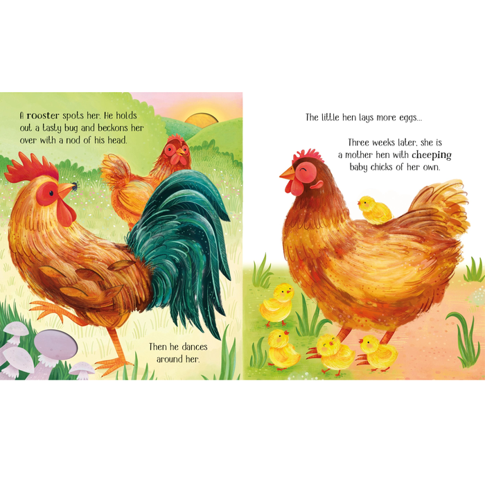 One Little Chick Children's Book | Usborne