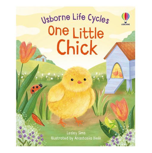 One Little Chick Children's Book | Usborne