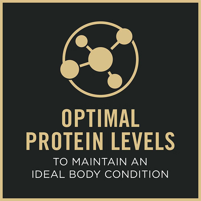 Pro Plan Adult 7+ Senior Complete Essentials Chicken & Rice Entrée Classic Wet Dog Food, 13-oz Can