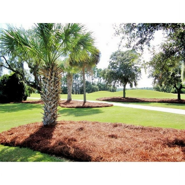 CleanStraw Long Leaf Pine Needles Mulch 2.3 Cu. Ft. Bale