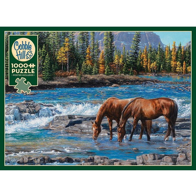 Cobble Hill 1000 Piece Jigsaw Puzzle, On the Rocks — Ellington Agway